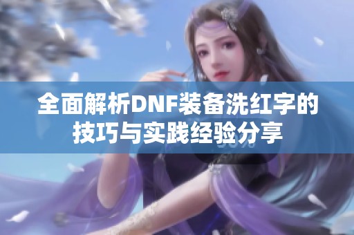 全面解析DNF装备洗红字的技巧与实践经验分享