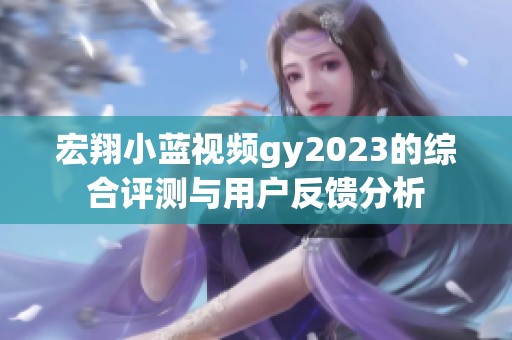 宏翔小蓝视频gy2023的综合评测与用户反馈分析