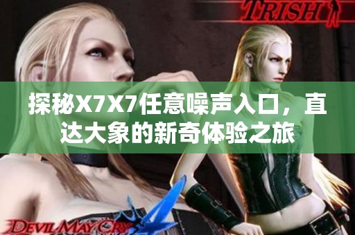 探秘X7X7任意噪声入口，直达大象的新奇体验之旅