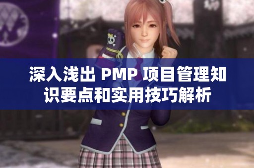 深入浅出 PMP 项目管理知识要点和实用技巧解析