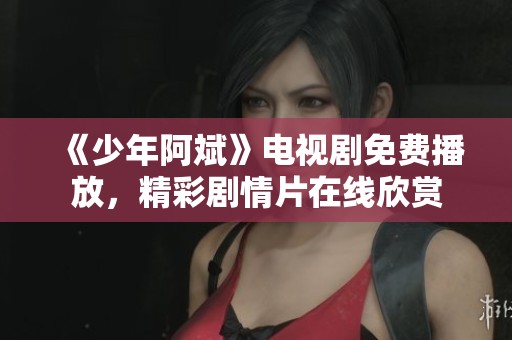《少年阿斌》电视剧免费播放，精彩剧情片在线欣赏