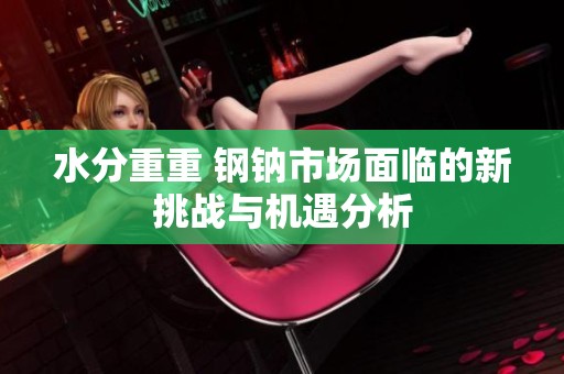 水分重重 钢钠市场面临的新挑战与机遇分析