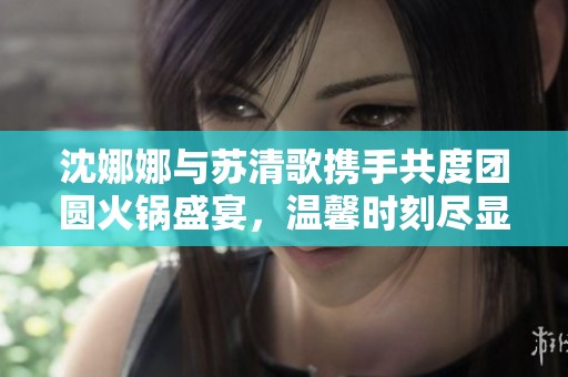 沈娜娜与苏清歌携手共度团圆火锅盛宴，温馨时刻尽显情谊