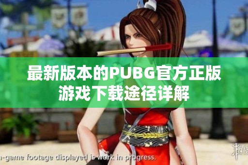 最新版本的PUBG官方正版游戏下载途径详解