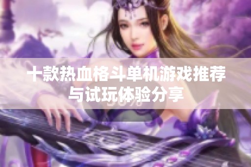 十款热血格斗单机游戏推荐与试玩体验分享