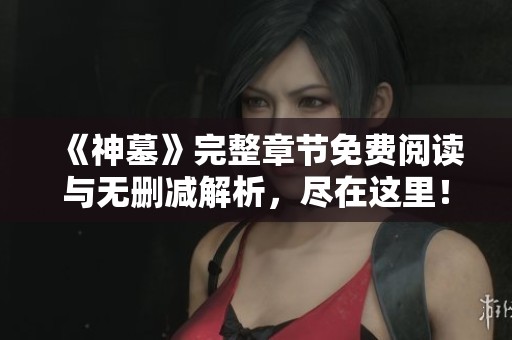 《神墓》完整章节免费阅读与无删减解析，尽在这里！