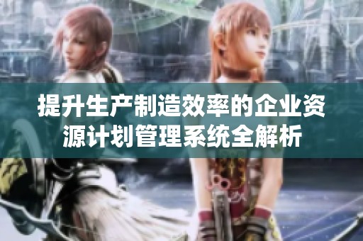 提升生产制造效率的企业资源计划管理系统全解析