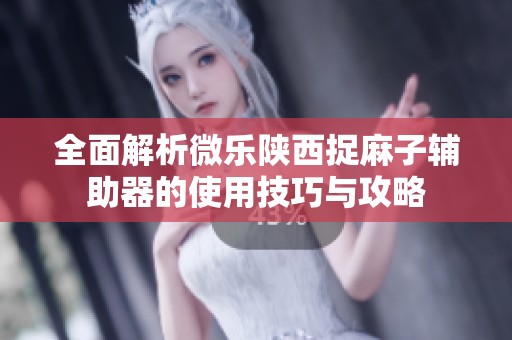 全面解析微乐陕西捉麻子辅助器的使用技巧与攻略