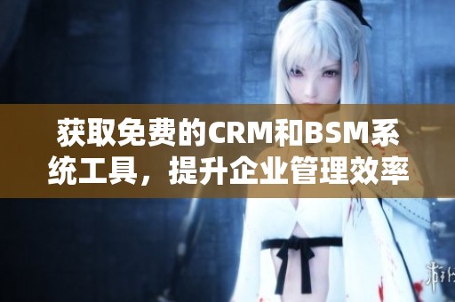 获取免费的CRM和BSM系统工具，提升企业管理效率