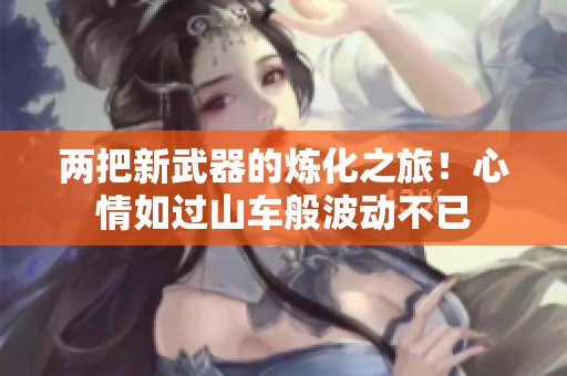 两把新武器的炼化之旅！心情如过山车般波动不已