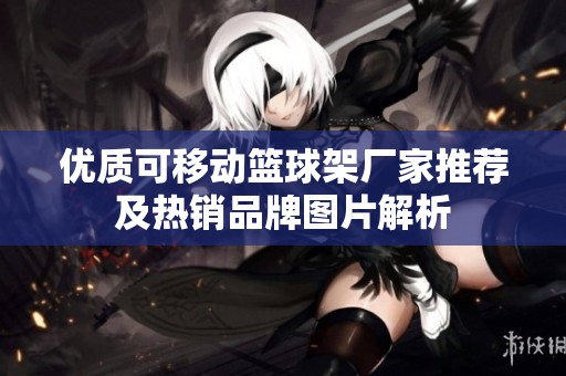 优质可移动篮球架厂家推荐及热销品牌图片解析