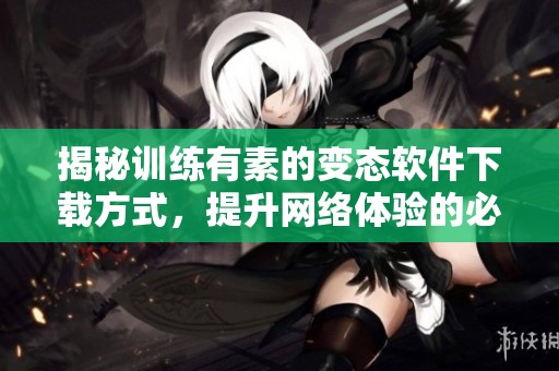 揭秘训练有素的变态软件下载方式，提升网络体验的必备工具