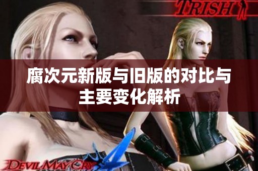 腐次元新版与旧版的对比与主要变化解析