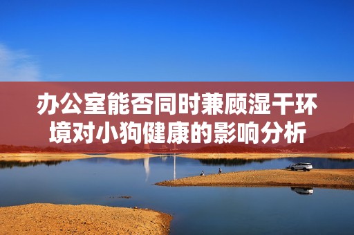 办公室能否同时兼顾湿干环境对小狗健康的影响分析