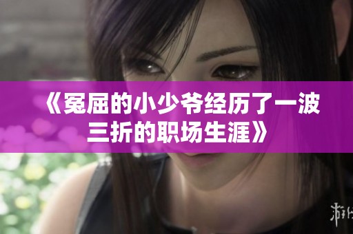 《冤屈的小少爷经历了一波三折的职场生涯》