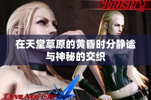 在天堂草原的黄昏时分静谧与神秘的交织