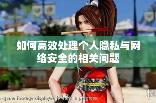如何高效处理个人隐私与网络安全的相关问题