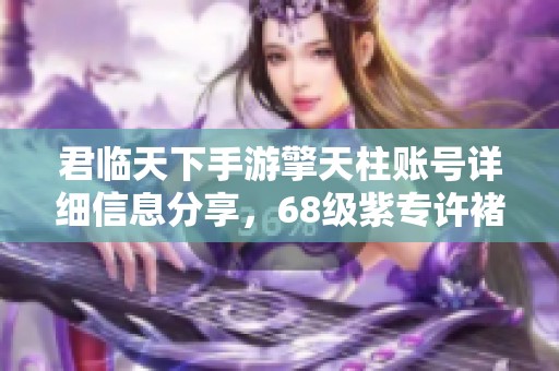 君临天下手游擎天柱账号详细信息分享，68级紫专许褚及纪念册介绍