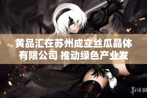 黄品汇在苏州成立丝瓜晶体有限公司 推动绿色产业发展