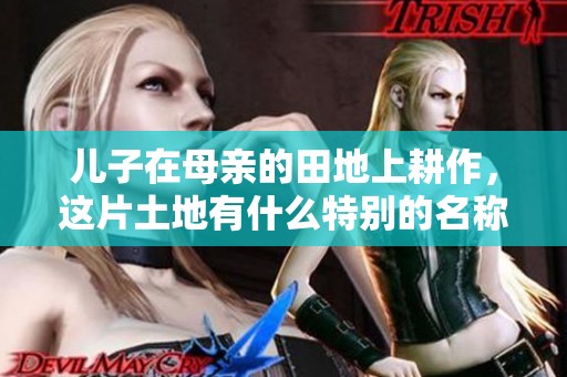 儿子在母亲的田地上耕作，这片土地有什么特别的名称？