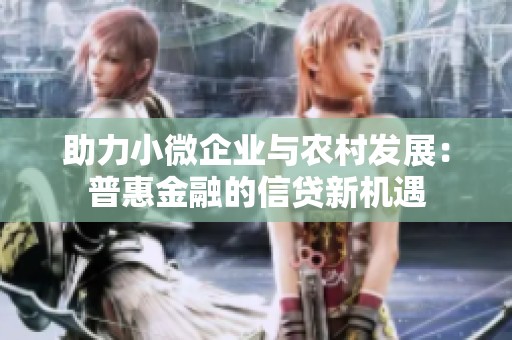 助力小微企业与农村发展：普惠金融的信贷新机遇