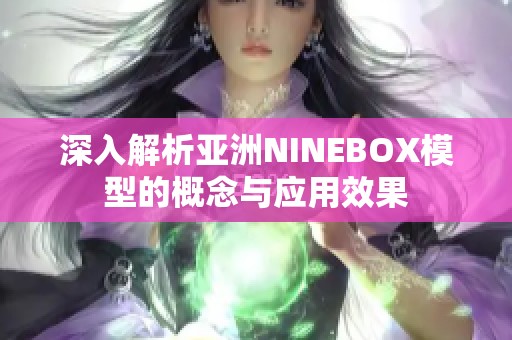 深入解析亚洲NINEBOX模型的概念与应用效果