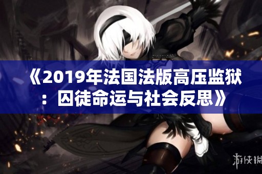 《2019年法国法版高压监狱：囚徒命运与社会反思》