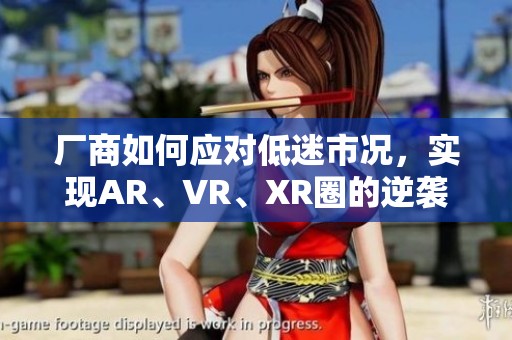 厂商如何应对低迷市况，实现AR、VR、XR圈的逆袭与重生