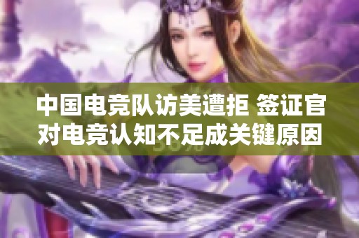 中国电竞队访美遭拒 签证官对电竞认知不足成关键原因