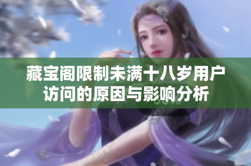 藏宝阁限制未满十八岁用户访问的原因与影响分析