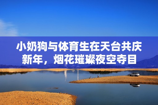 小奶狗与体育生在天台共庆新年，烟花璀璨夜空夺目