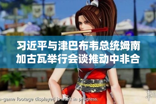 习近平与津巴布韦总统姆南加古瓦举行会谈推动中非合作发展