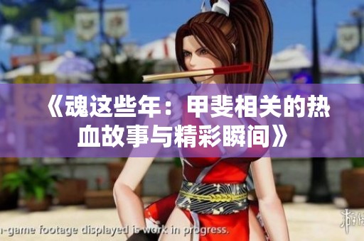 《魂这些年：甲斐相关的热血故事与精彩瞬间》