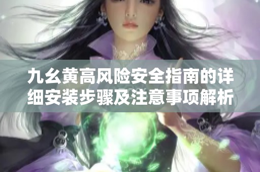 九幺黄高风险安全指南的详细安装步骤及注意事项解析