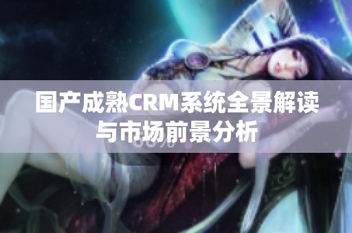 国产成熟CRM系统全景解读与市场前景分析