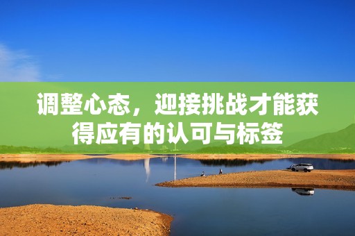 调整心态，迎接挑战才能获得应有的认可与标签