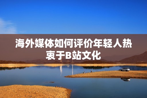 海外媒体如何评价年轻人热衷于B站文化
