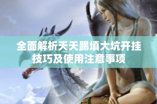 全面解析天天踢填大坑开挂技巧及使用注意事项