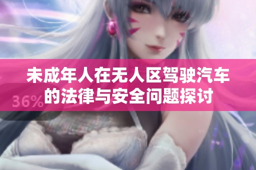 未成年人在无人区驾驶汽车的法律与安全问题探讨