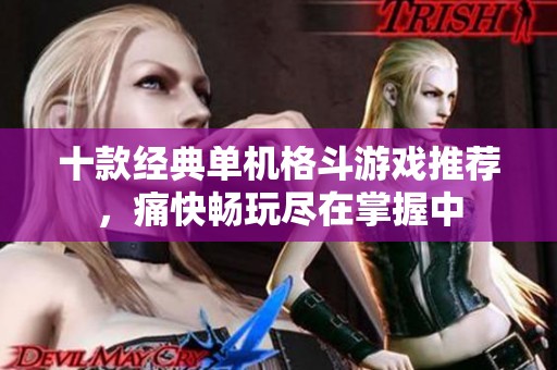 十款经典单机格斗游戏推荐，痛快畅玩尽在掌握中