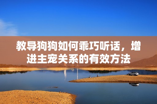 教导狗狗如何乖巧听话，增进主宠关系的有效方法