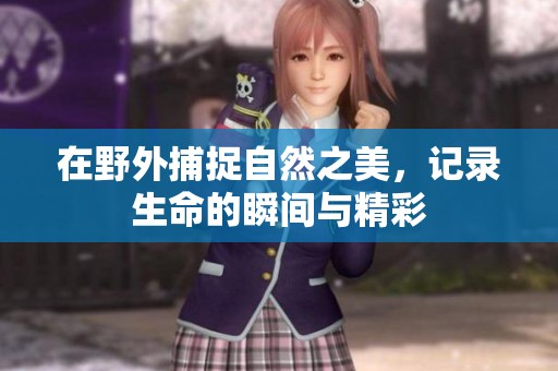 在野外捕捉自然之美，记录生命的瞬间与精彩