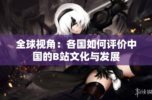 全球视角：各国如何评价中国的B站文化与发展