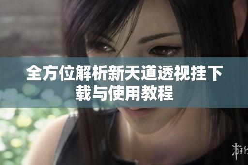 全方位解析新天道透视挂下载与使用教程