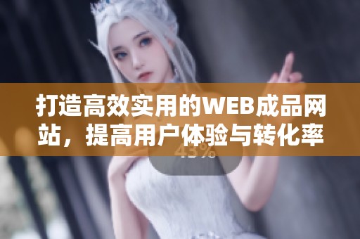 打造高效实用的WEB成品网站，提高用户体验与转化率