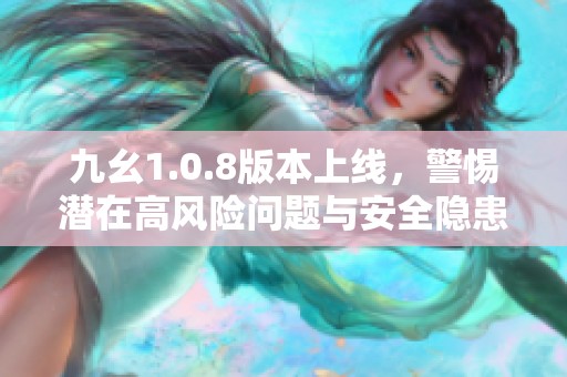九幺1.0.8版本上线，警惕潜在高风险问题与安全隐患