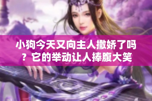 小狗今天又向主人撒娇了吗？它的举动让人捧腹大笑