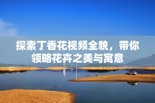 探索丁香花视频全貌，带你领略花卉之美与寓意