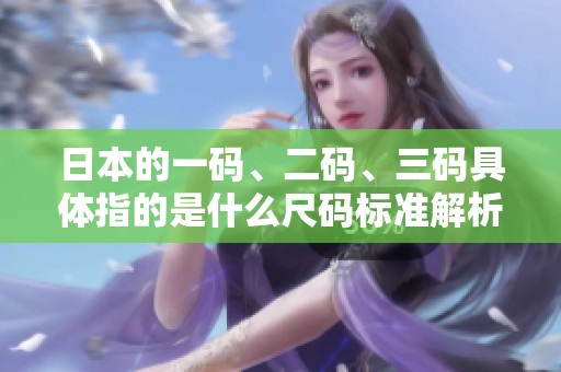 日本的一码、二码、三码具体指的是什么尺码标准解析