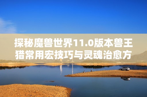 探秘魔兽世界11.0版本兽王猎常用宏技巧与灵魂治愈方法